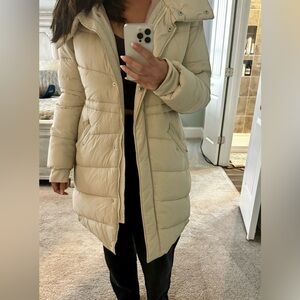 Hollister Puffer Jacket
